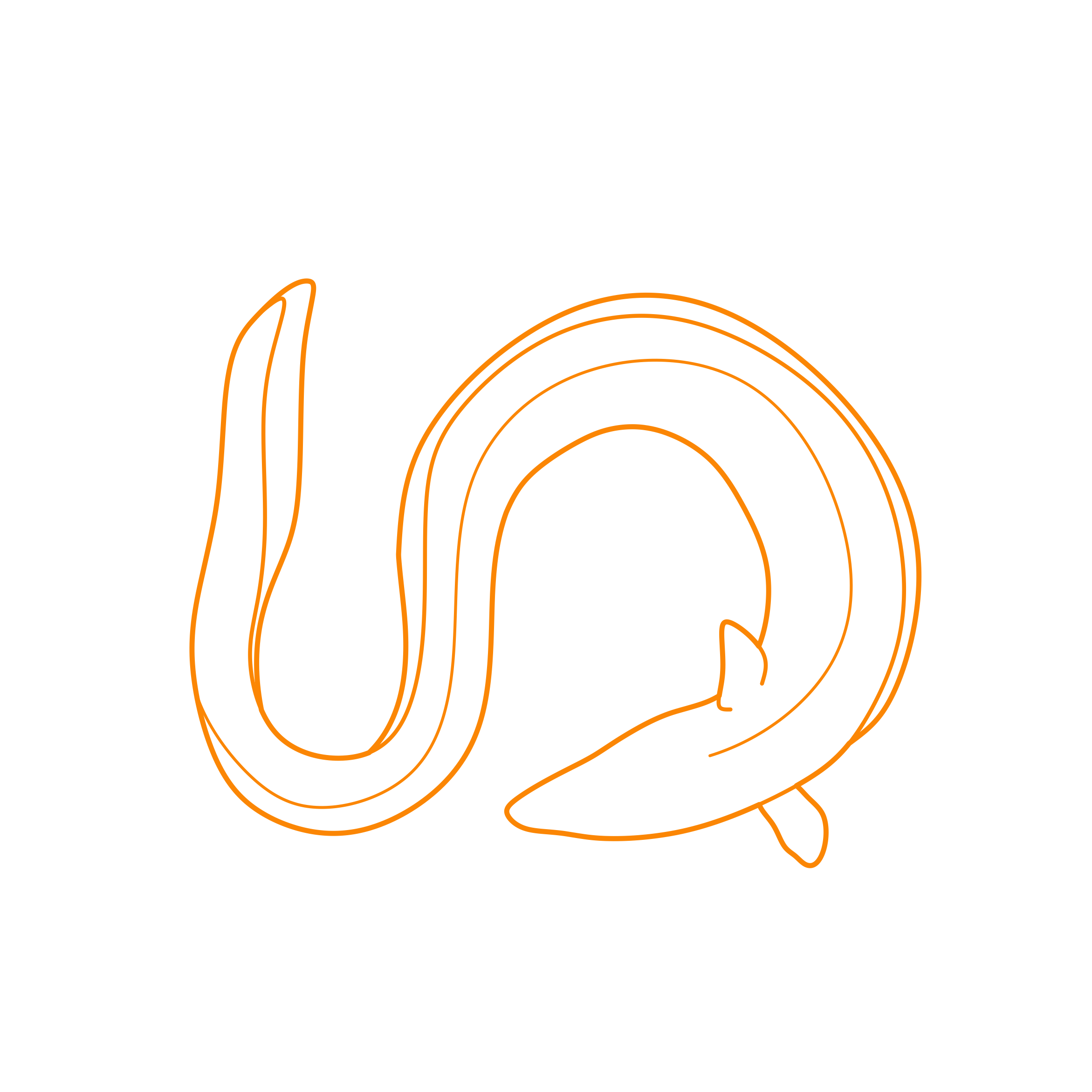 Animals Eels Silhouette Cutting Svg Files Free Vectors